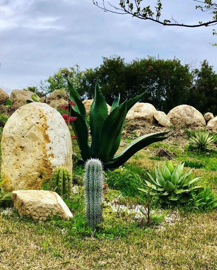 L'Incanto Di Nausicaa Ascea Exterior foto